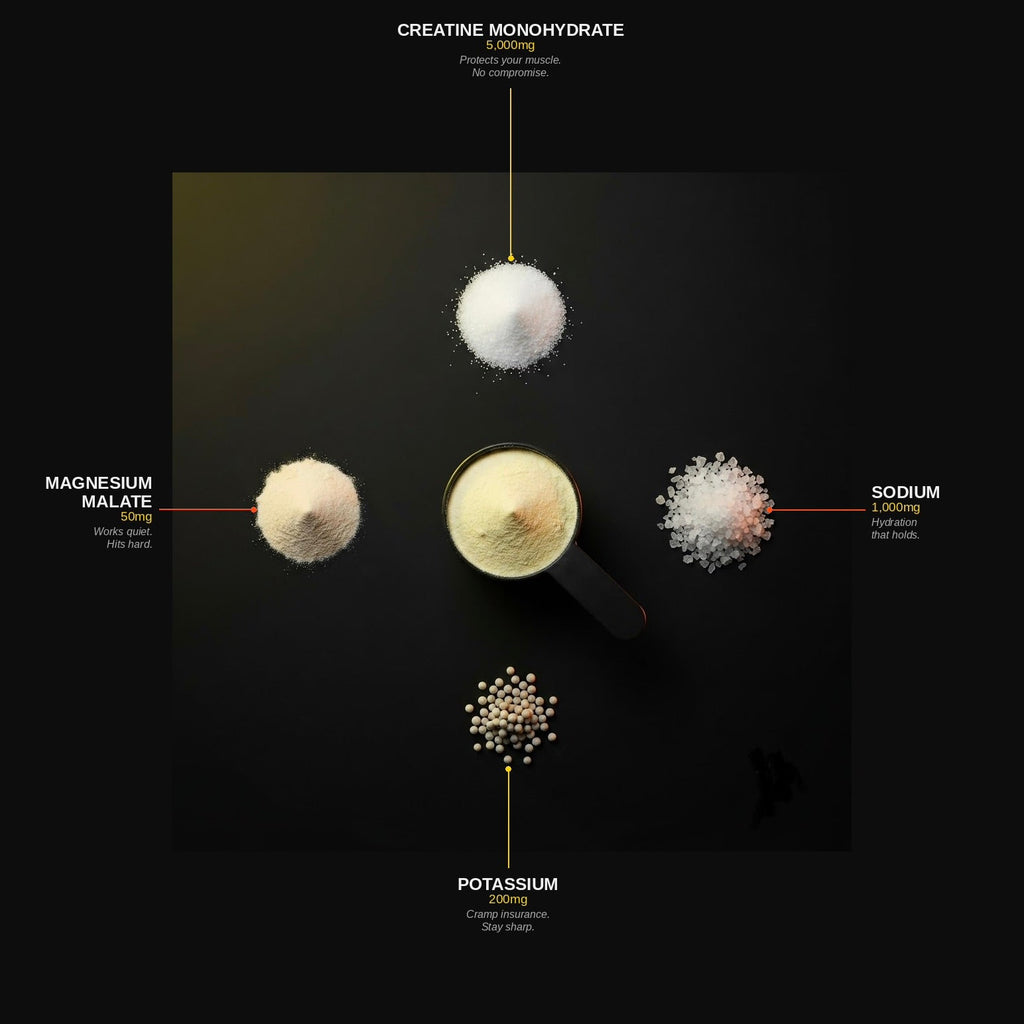 Fasted Rebels Lyte & Loaded — détail des ingrédients : créatine monohydrate, sodium, potassium, magnésium malate